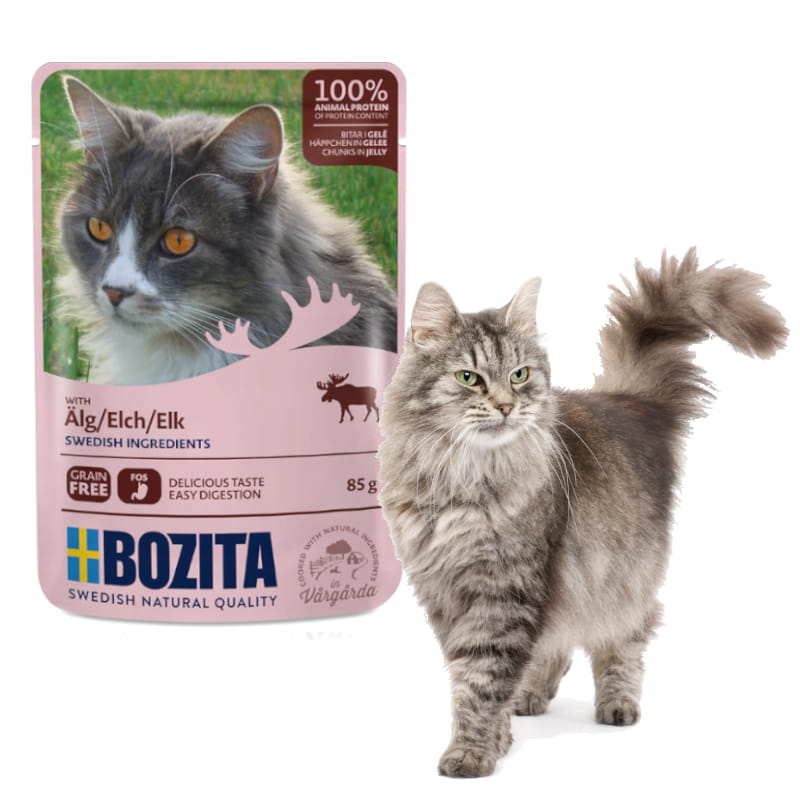 łoś galaretka 85g kot 2.jpg